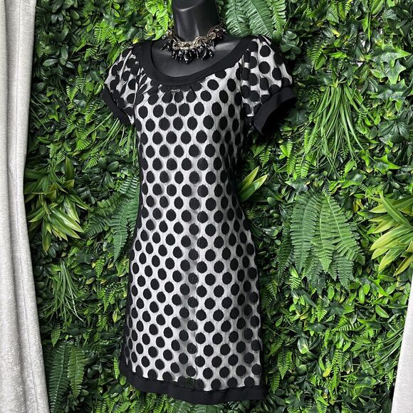 ENFOCUS STUDIO‎ Dress Women 8 Black White Polka Dot Short Sleeve Sheath 2090 - Picture 1 of 7